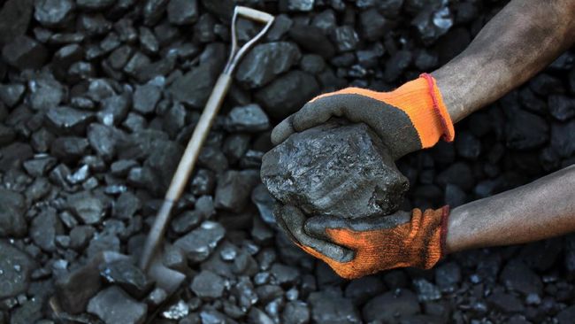 Bank to Stop Support for Coal Investments